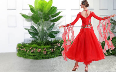 Vestido de Baile de Salón